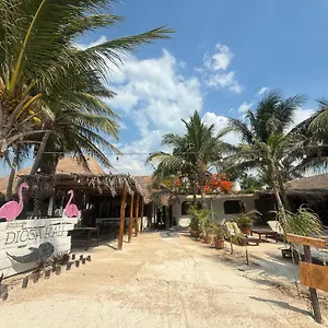 *** Hotel La Diosa Kali Front Mexiko